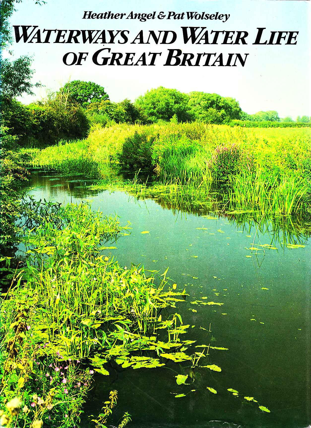 waterways and waterl life of Great Britain (Angel & Wolseley)